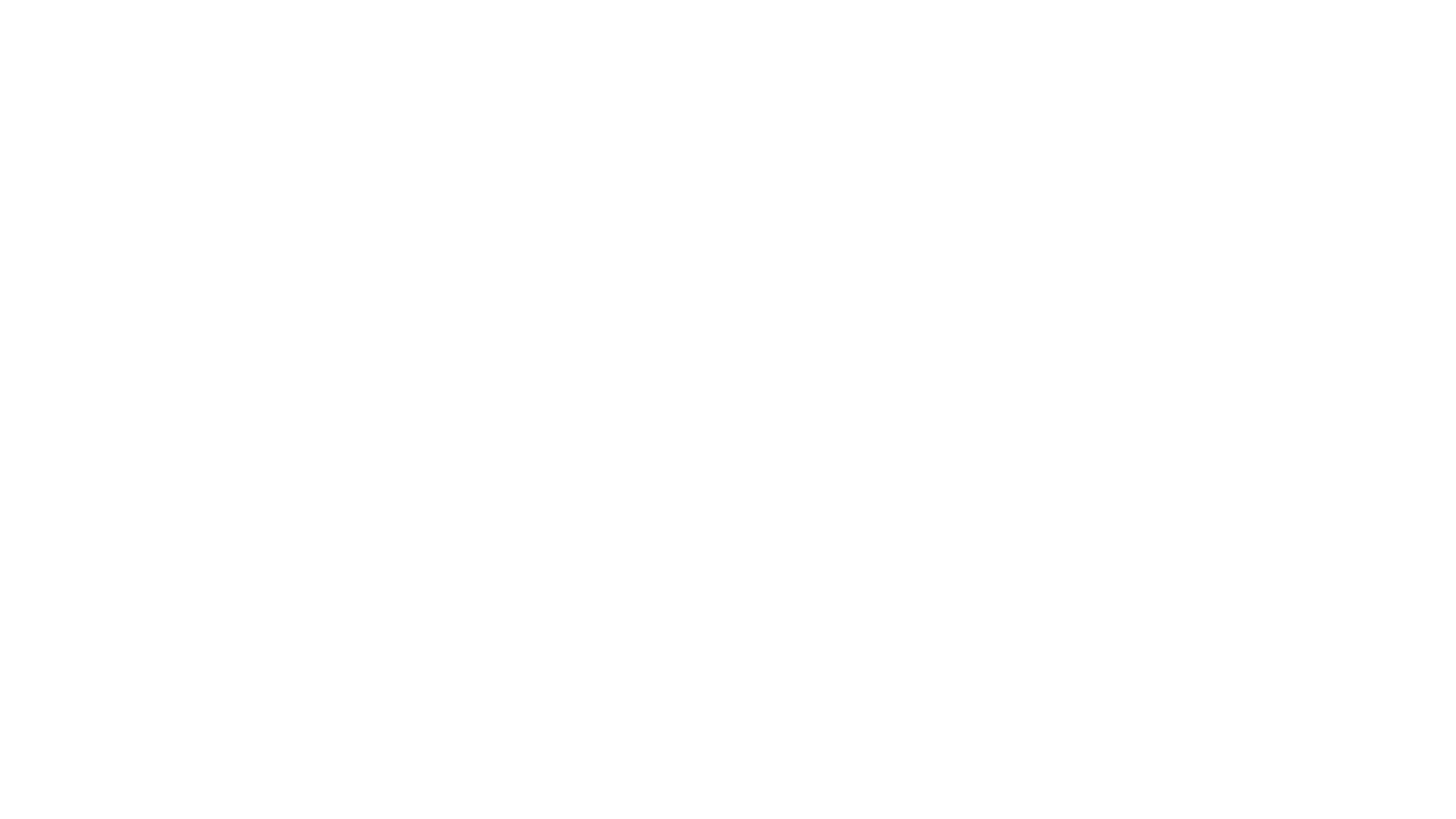 VIONIC NAVBC